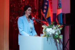 IMG-763ace6f8385a48581444e0866f16ef5-V